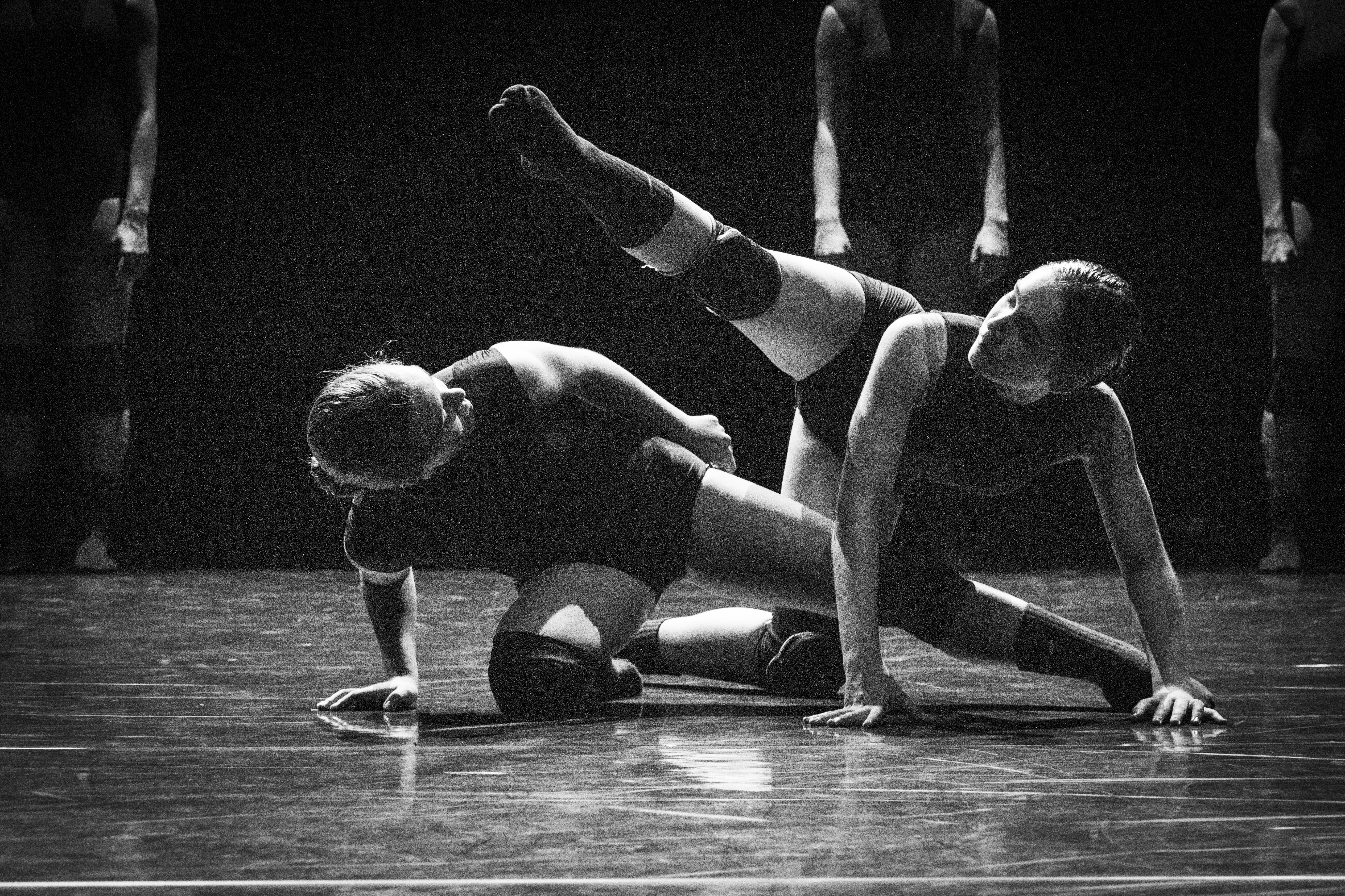 (Des)conexão - ANIMAballe